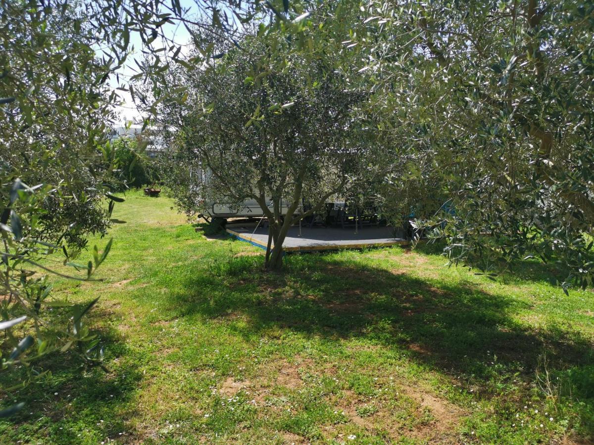 Large Camper In The Olive Grove Banjole Exterior foto