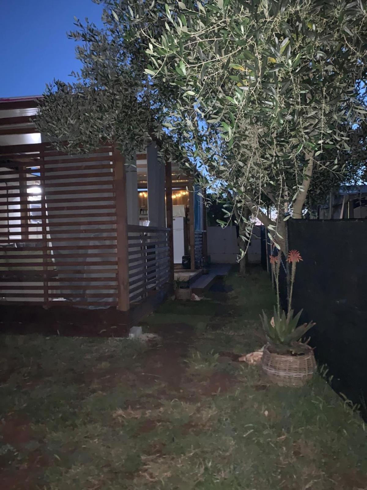 Large Camper In The Olive Grove Banjole Exterior foto
